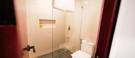 A bathroom with a glass shower enclosure, a toilet, and a shelf with toiletries.