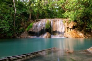 Ngoại thất