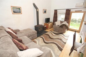 TV, DVD player, books, video library