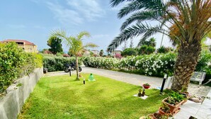 Un jardín bien cuidado con césped, plantas en macetas y una palmera.