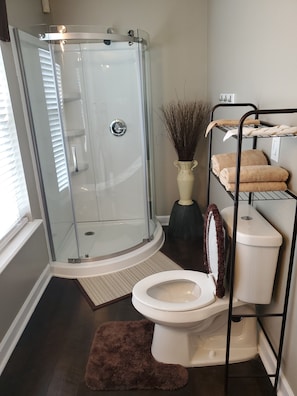 Shower, towels, toilet paper