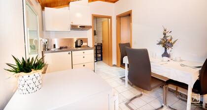 Cozy 1 BR Apartment Free Prkg 130m Away