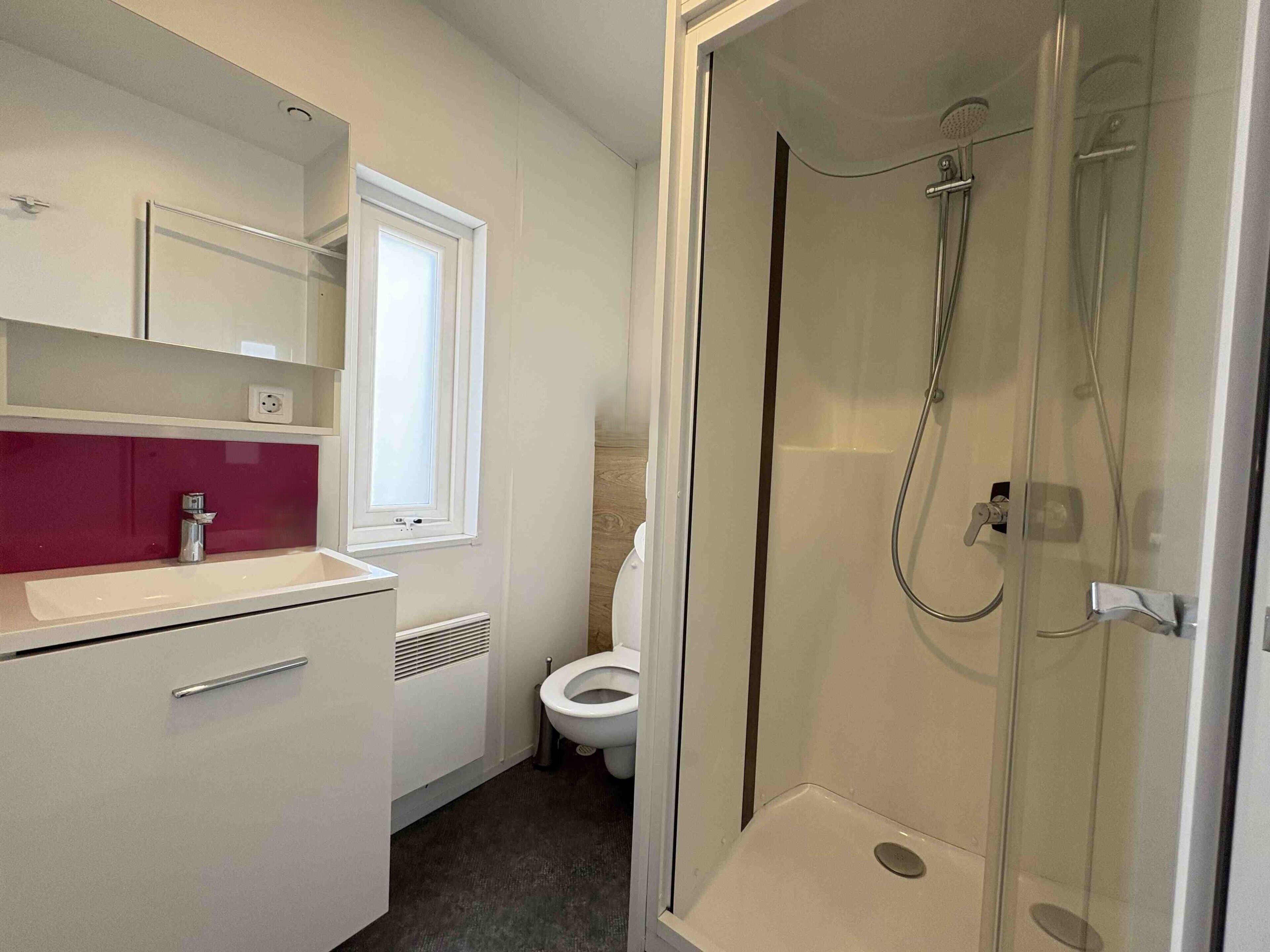 Shower, towels, toilet paper