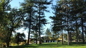 Garden - Château de Roquebère Chambres d'hôtes (Condom)
