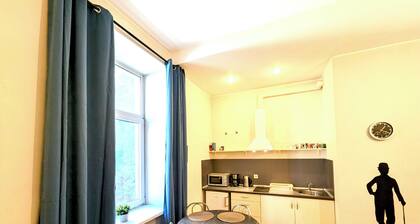 Spacious 2 bedroom apartment in very centr of Riga
