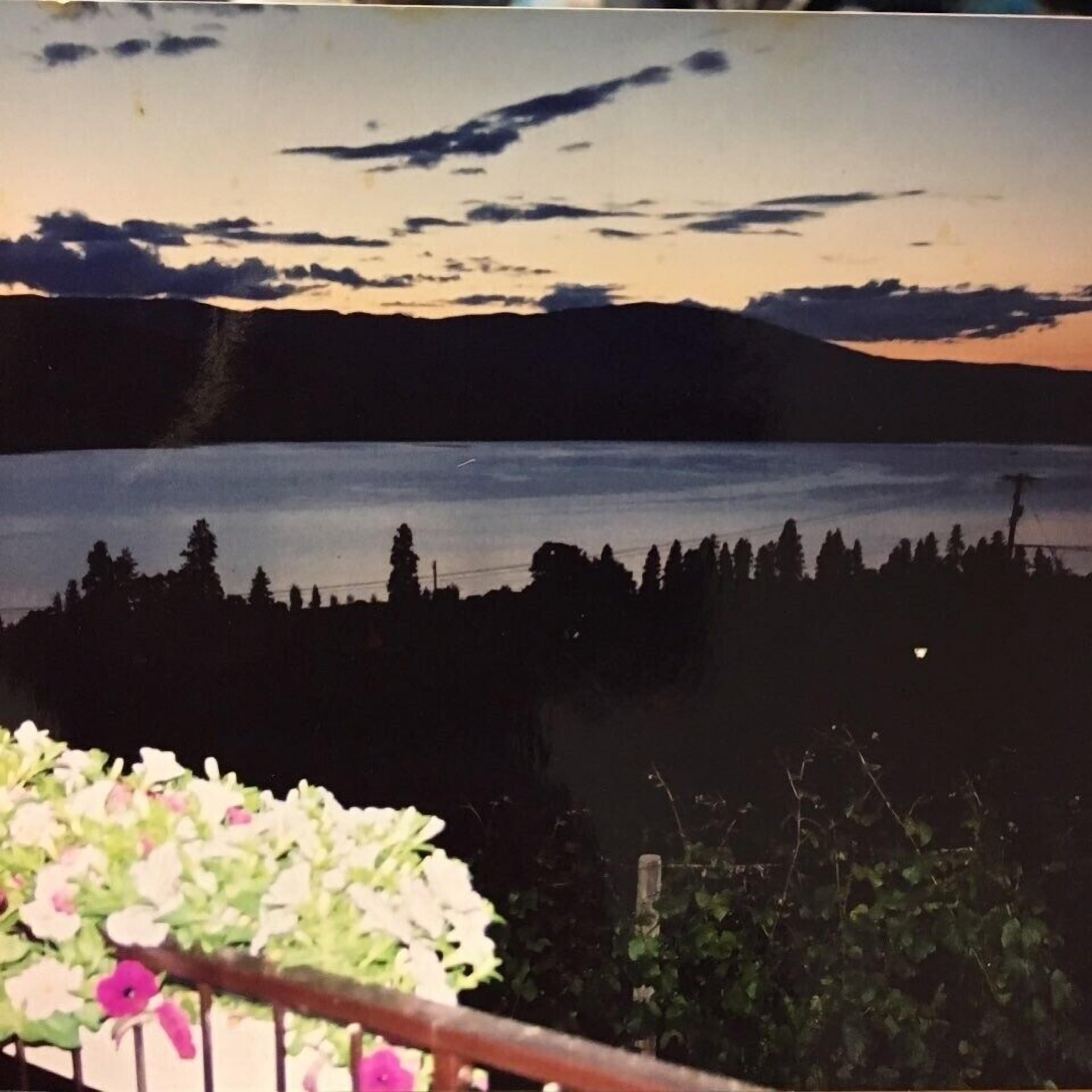 A landscape view with a body of water, trees, and a distant mountain range.