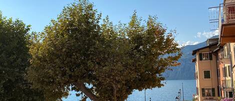 Marina/club náutico