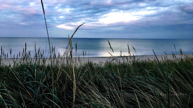 Een strand met hoge grassen op de voorgrond en een rustige zee onder een bewolkte lucht.