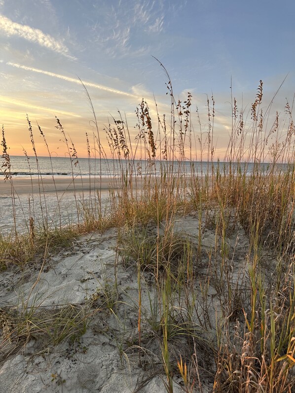 Beach nearby, sun-loungers