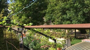 Un jardín con una pérgola, diversas plantas y una estructura de techo curva.