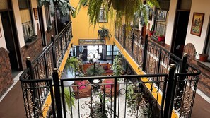 Reception - Hotel Amón Real (San José)