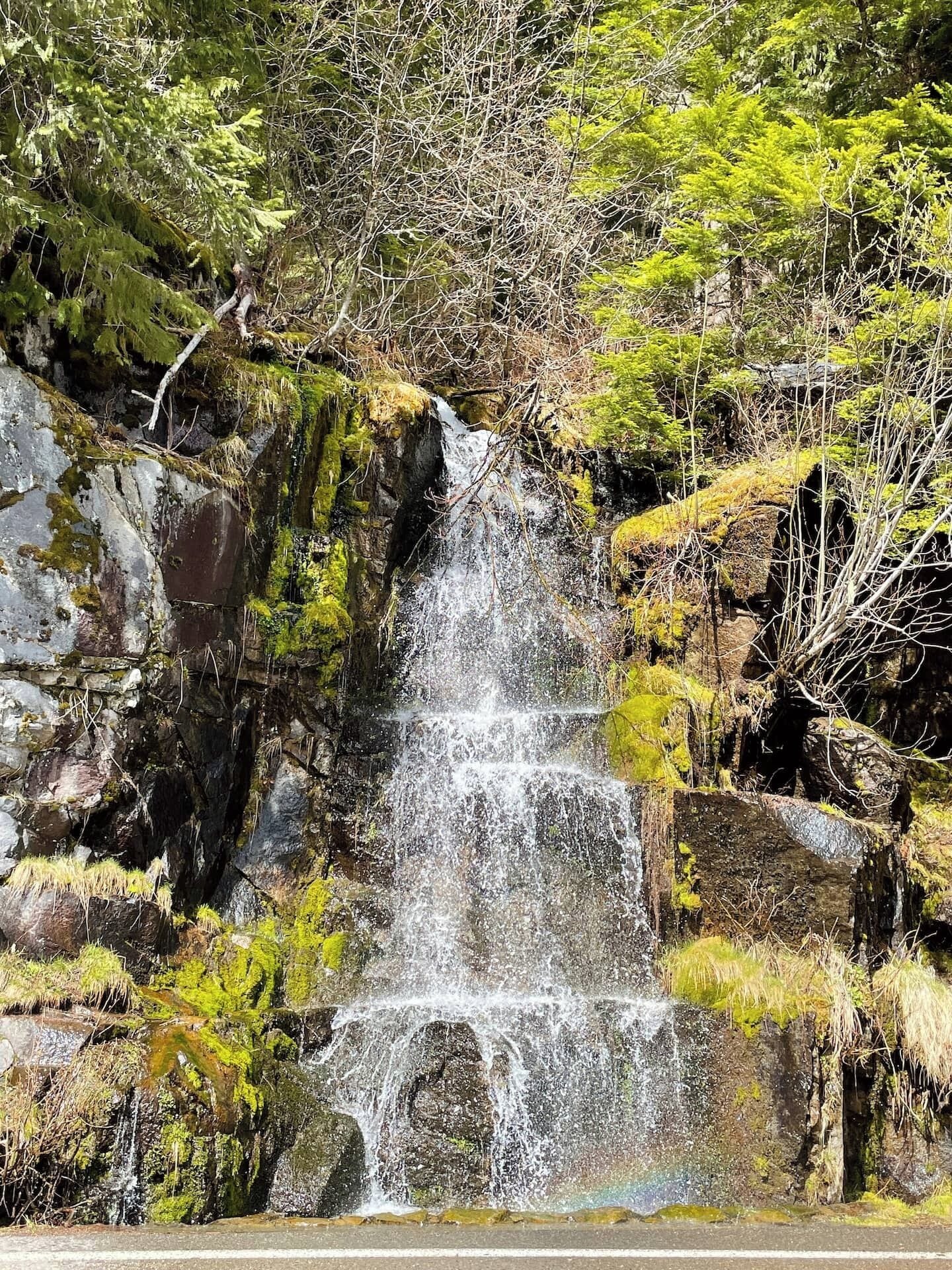 A waterfall cascading over rocky terrain with dense foliage in the background.