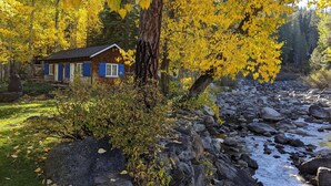 Eine rustikale Holzhütte mit Steinfassade und blauen Fensterläden, umgeben von einem Wald mit gelbem Laub und einem Bach mit Steinen.
