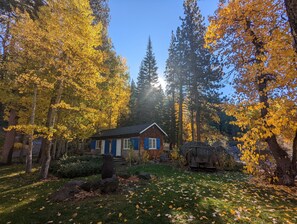 Une cabane entourée d’arbres aux feuilles jaunes, avec une cour herbeuse et une structure en pierre.