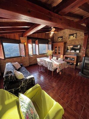 Una Smart TV, una chimenea, un reproductor de DVD