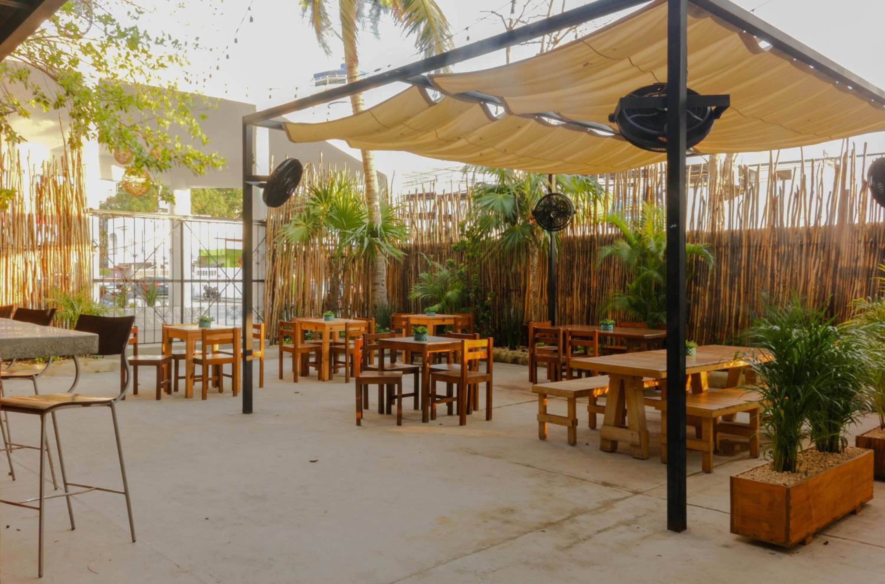 Photo - Lucky Duck PJ