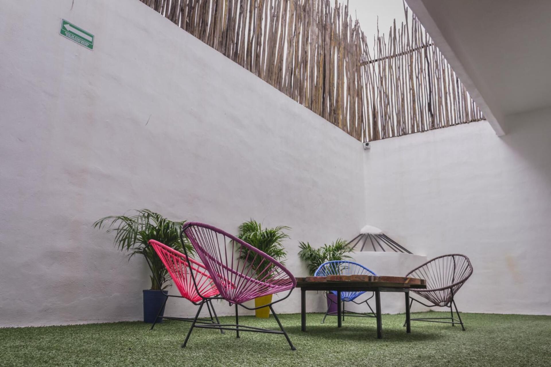 Photo - Lucky Duck PJ