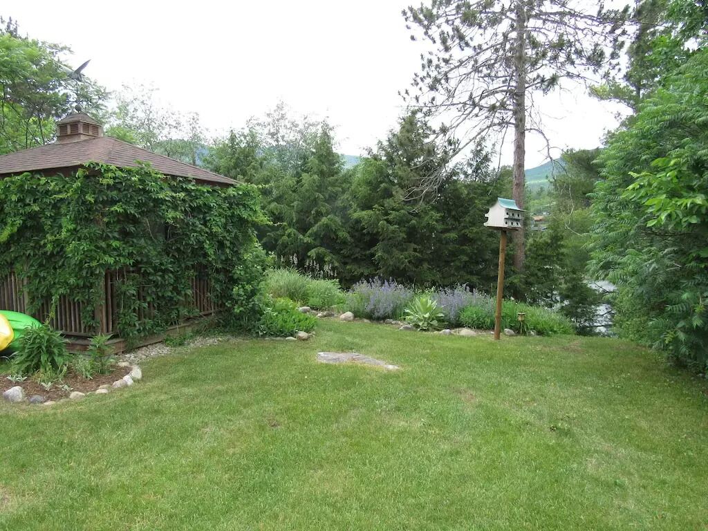 Un jardin agrémenté d’une structure en bois recouverte de plantes grimpantes, d’une nichoir et de diverses espèces végétales.