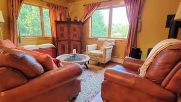 Smart TV, fireplace, books