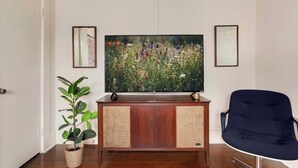 Una sala de estar con un mueble de madera, un televisor, una planta en maceta y un sillón azul.