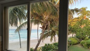 A window view of a beach with palm trees and a clear sky. - Beachfront Apartment in Paradise: Turtles Nest D (Dover)