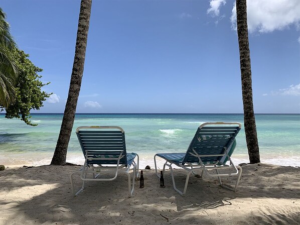 Plage, chaises longues
