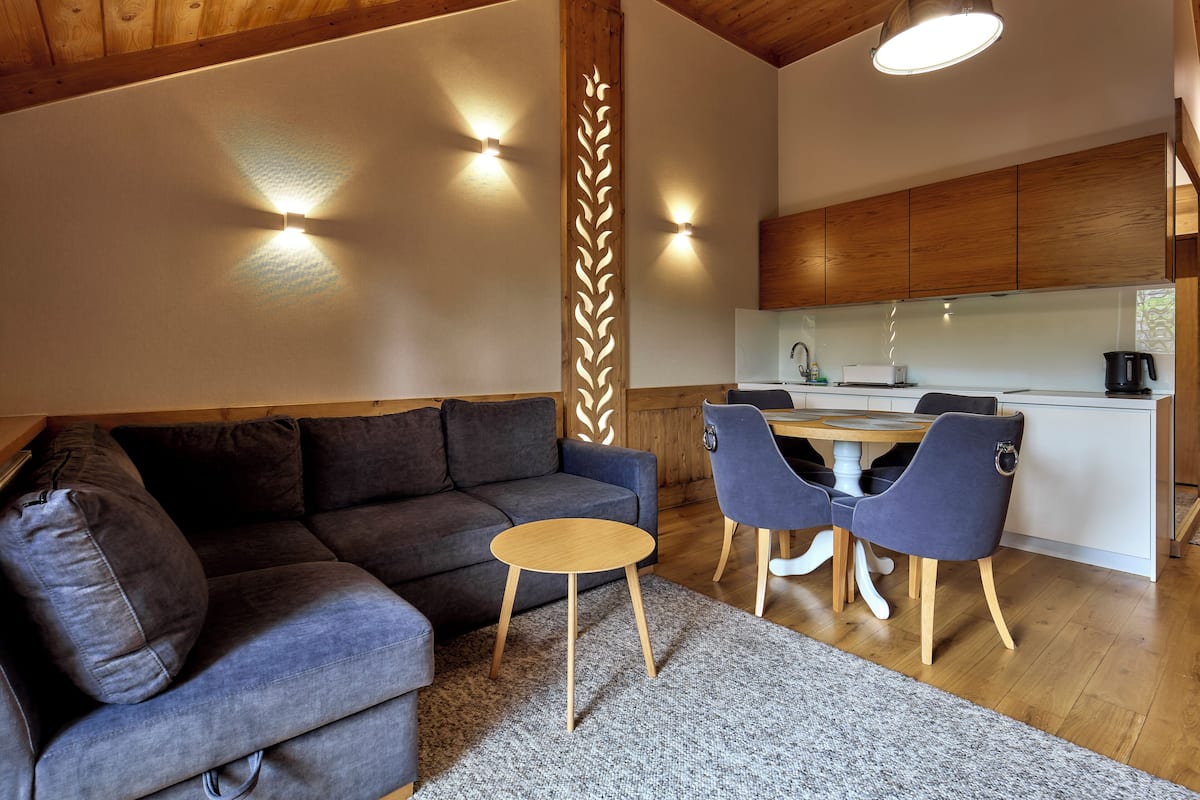 Deluxe Apartment (208 with SPA, Pool access) | Laptop workspace, iron/ironing board (on request), WiFi (free)