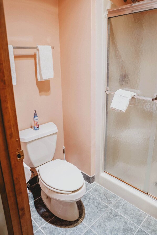 A bathroom with a toilet, a shower with a glass door, and a towel rack.