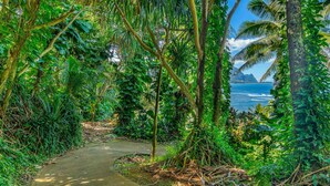 Un étroit sentier de béton, bordé d’une végétation tropicale luxuriante et de palmiers, mène à un point de vue sur la côte.