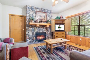 TV connectée, cheminée, lecteur de DVD