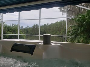 A hot tub with a view of a forest through large windows.