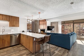 Interior - Sunsets in Copper Mountain CO:- Ski in/Ski out with an amazing view (Frisco)