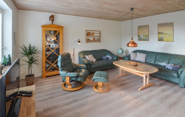 Fernseher, Kamin