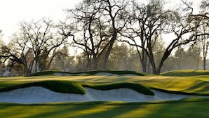 A golf course with sand bunkers and trees.