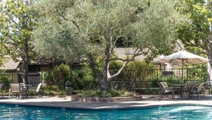 A swimming pool with a tiled edge, surrounded by lounge chairs and umbrellas, with trees and a building in the background.