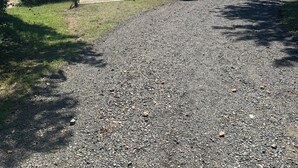 A gravel path leading to a lakeside area with a bench and a sign.