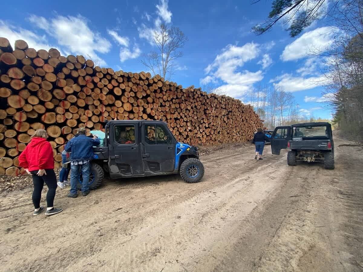 Un chemin de terre avec deux véhicules et des personnes à proximité d’une grande pile de troncs d’arbres.