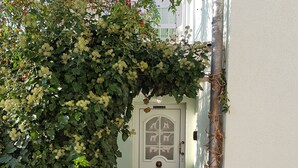 A white door with a decorative handle and glass panels, partially obscured by ivy.