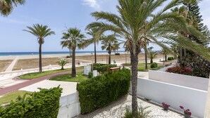 Eine Küstenansicht mit Palmen, einem Strand und einem gepflasterten Weg.