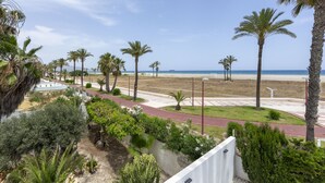 Küstensicht mit Palmen, einem Strand und einem gepflasterten Weg.
