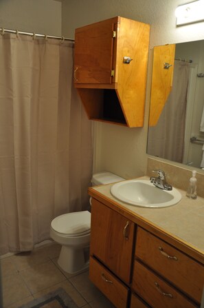 Combined shower/tub, towels, soap, shampoo
