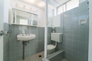 A modern bathroom with a sink, mirror, toilet, and shower.