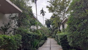 A narrow stone pathway flanked by lush greenery and white buildings. - Areeca Mahogany Zone (Choeng Thale)