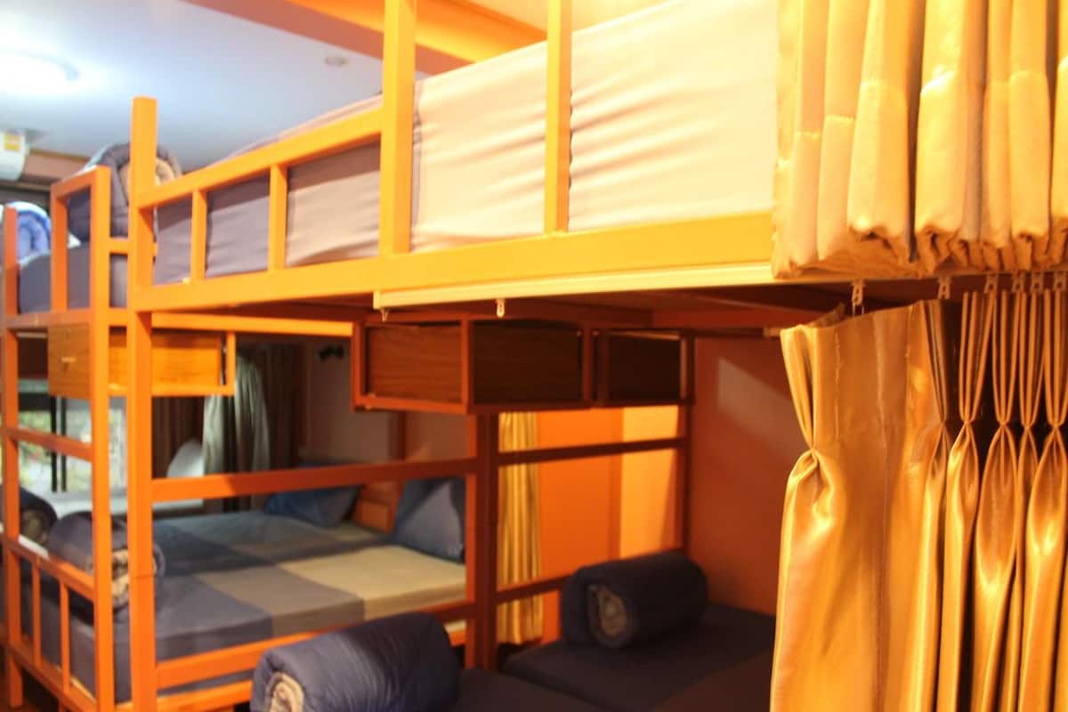 A bunk bed room with a lower bunk and a sofa bed.