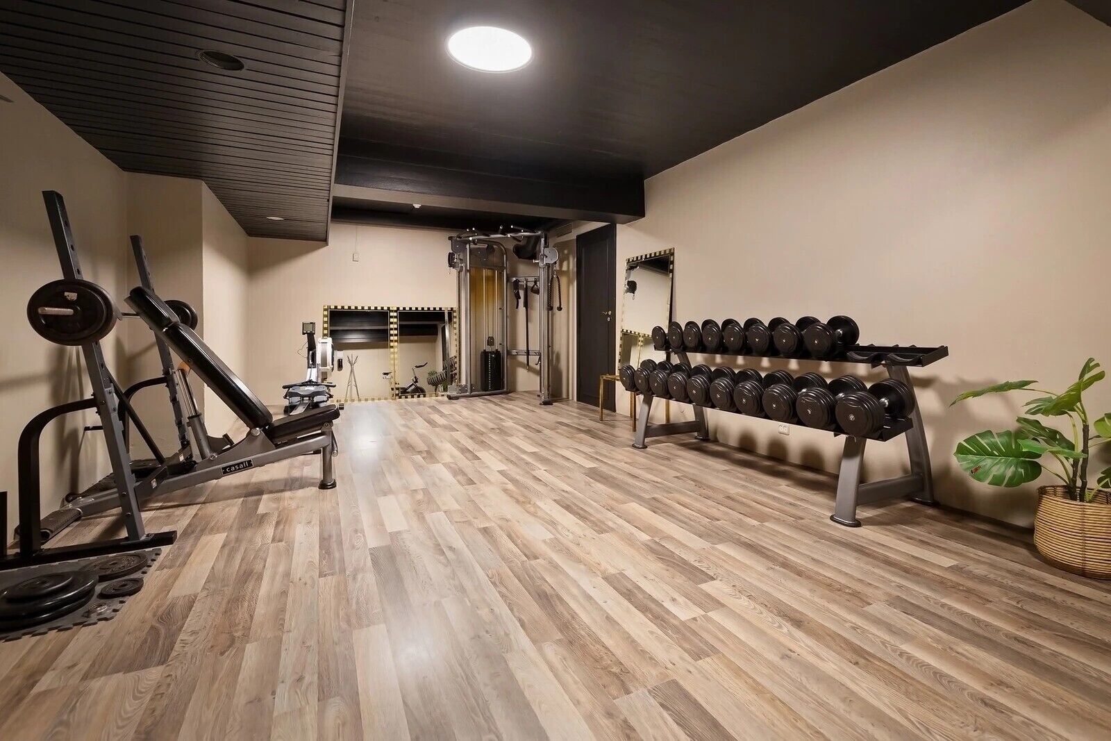 A gym with exercise equipment, a mirror, and a plant.