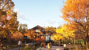 A wooden cabin with a porch, surrounded by autumn foliage. - Gallery Hara & Guest House (Hara)