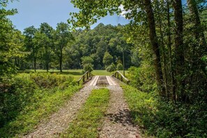 A forested area with a gravel path leading to a wooden bridge. - Horseshoe Hollow, Private Log Cabin on 10 acres (Lake Toxaway)