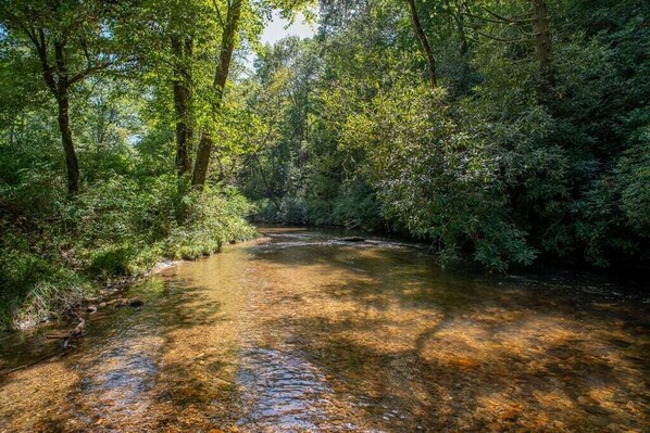 A forested area with a clear stream. - Horseshoe Hollow, Private Log Cabin on 10 acres (Lake Toxaway)