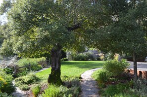 Property grounds - Gorgeous 2Bd + Loft with Deck and Gardens. Soaring 20 ft ceilings, huge windows! (Kentfield)