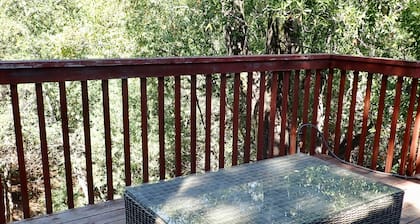 Gorgeous 2Bd + Loft with Deck and Gardens. Soaring 20 ft ceilings, huge windows!